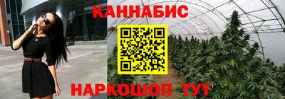 крисы Обь