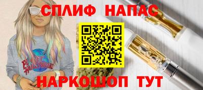 крисы Обь
