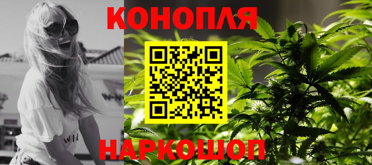 Бошки Шишки план Советская Гавань
